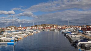 Uklassifisert bilde, 3 av 36, knapp