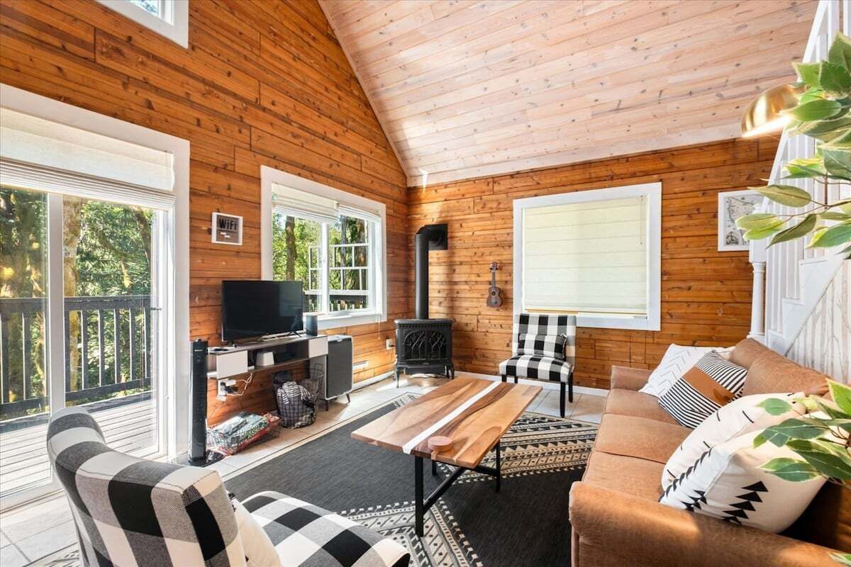 智能电视、壁炉