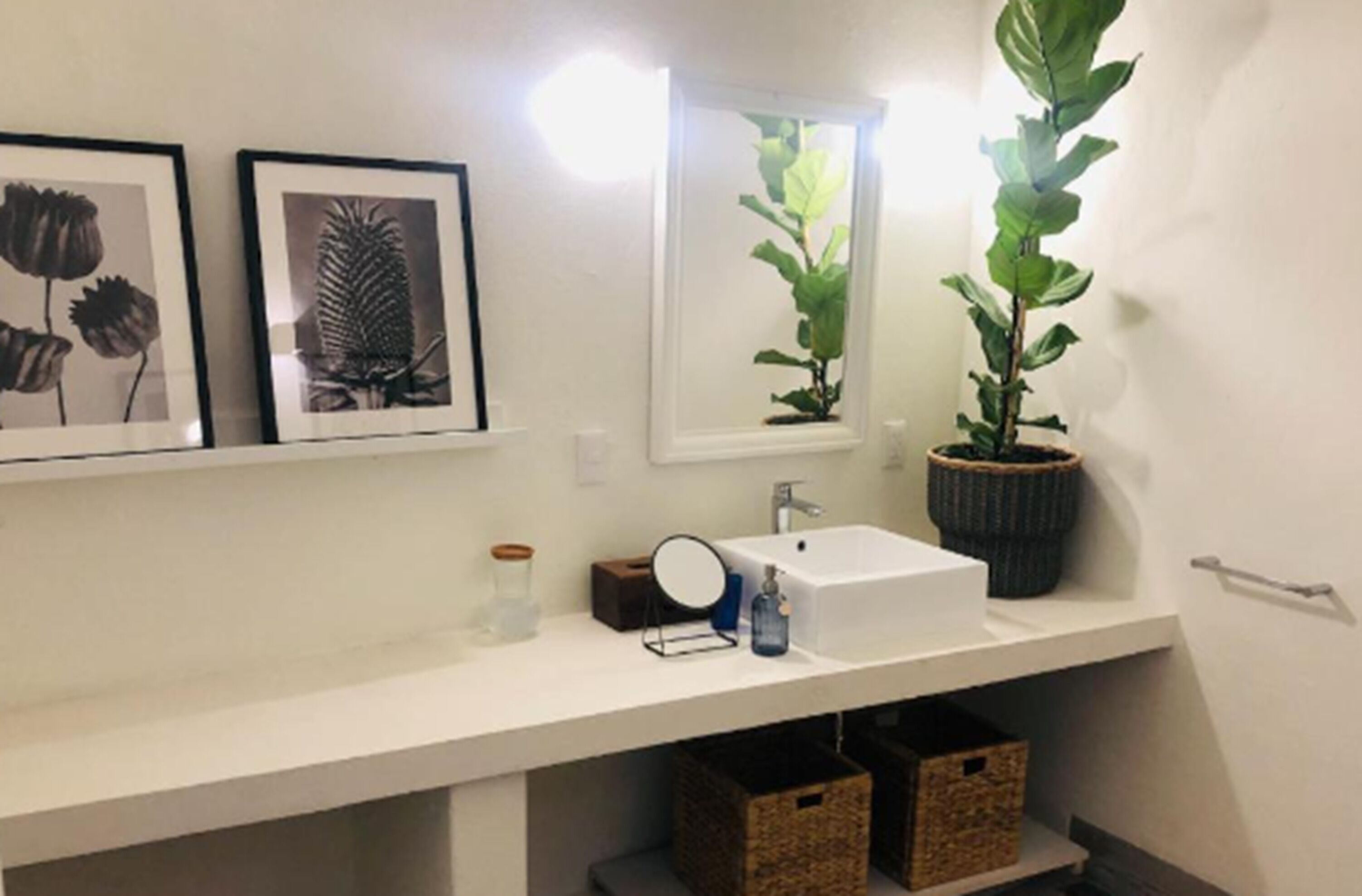 A bathroom with a white sink, a mirror, framed botanical prints, a potted plant, and wicker baskets.