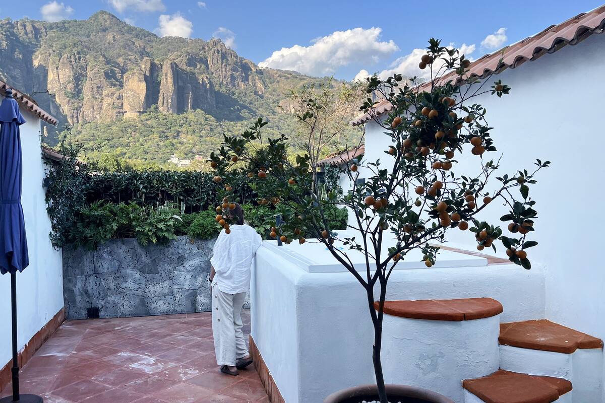 A balcony with a view of a mountainous landscape, a potted plant, and a blue umbrella.