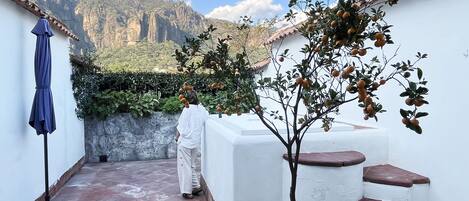 A terrace with a view of mountains, a potted tree, and a person standing by the wall.