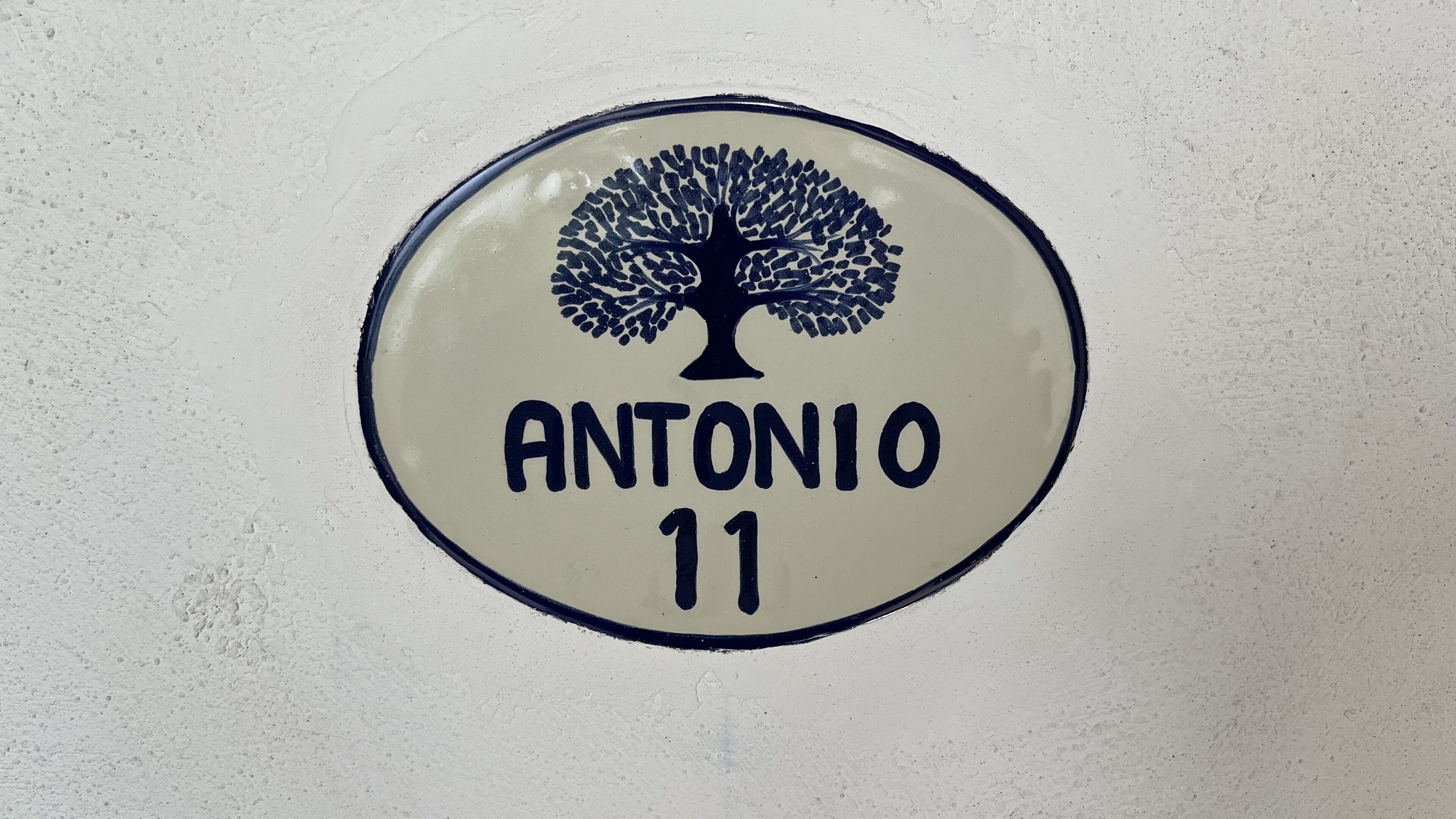 A circular sign with a tree design and the text "ANTONIO 11" on a textured wall.