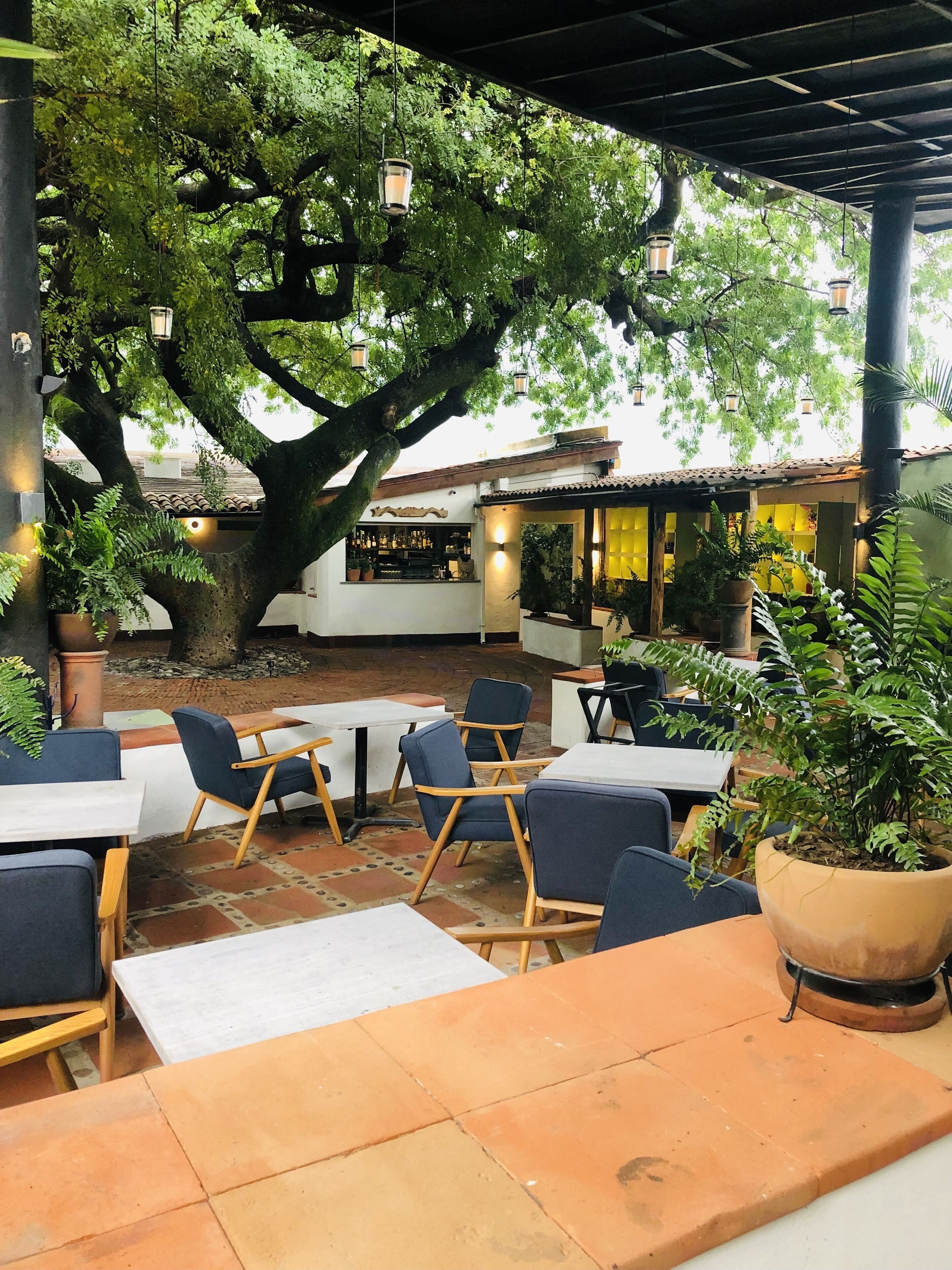 An outdoor cafe with tables and chairs, surrounded by large trees and potted plants.