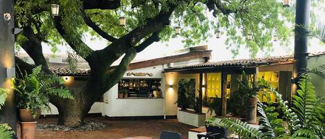 An outdoor cafe with tables and chairs, surrounded by large trees and potted plants.