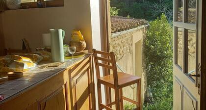 Belle maison de pierre sur 5 ha de terrain provençal avec vue Vercors