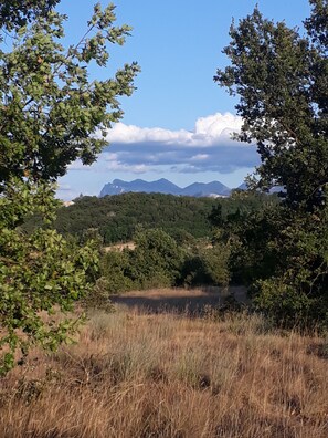 Terrain de l’hébergement 