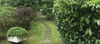 Freistehendes Ferienhaus auf 2100qm Waldgrundtück 100m vom Strand