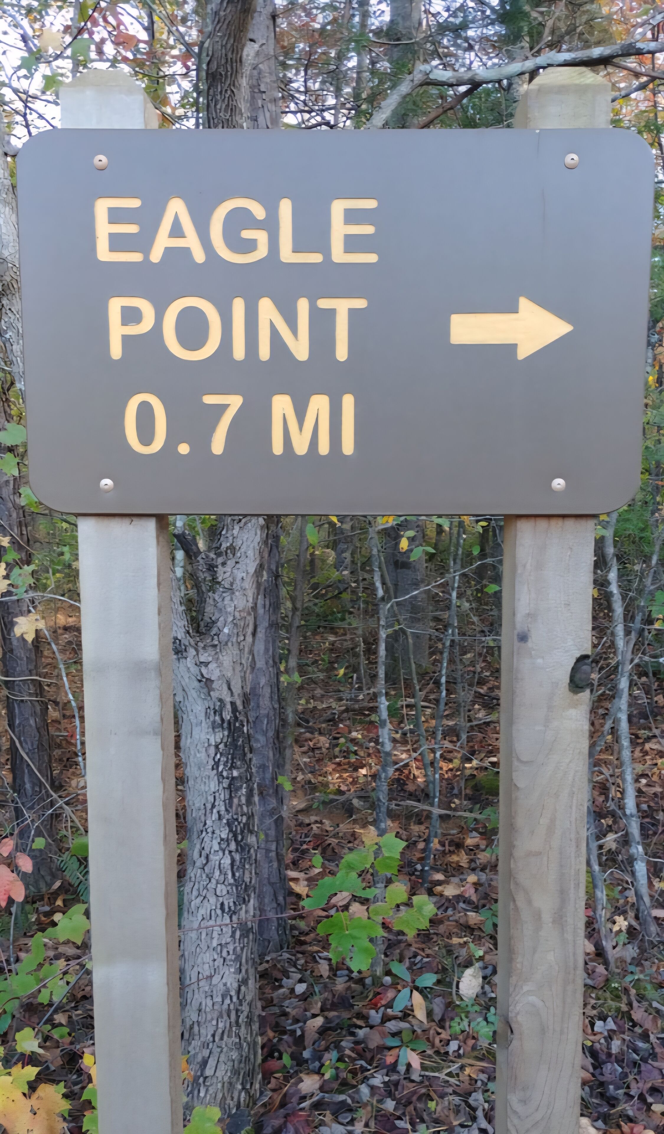 Indicador direccional que mostra 'Eagle Point a 1,1 km' amb una fletxa apuntant cap a la dreta.