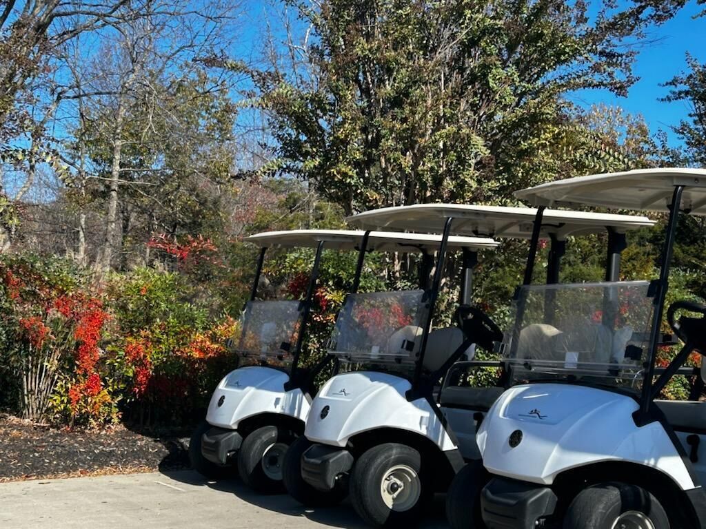 A row of white golf carts parked in a parking lot with trees and shrubs in the background.
