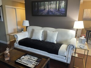 Smart TV, fireplace, books, printers