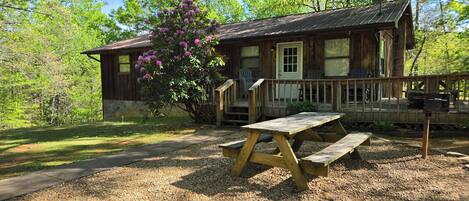 A rustic cabin with a porch, picnic table, and a large flowering tree.