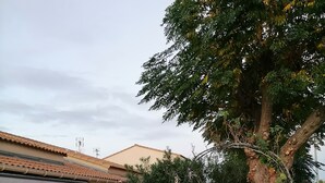 Ein Wohnhaus mit weißem Zaun, einem Ziegeldach und einem Baum im Vordergrund.