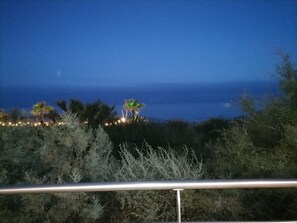 A night view of a coastal area with a railing in the foreground, palm trees, and a distant shoreline. - Air-conditioned villa, 300 m from Farinette Beach (Vias)