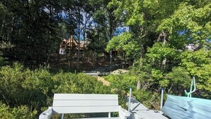A wooden bench on a covered walkway surrounded by lush greenery and trees.