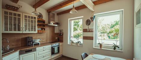 Fridge, oven, stovetop, dishwasher