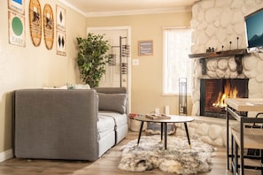 Smart TV, fireplace, books