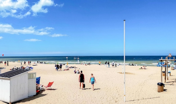 Vlak bij het strand, vissen