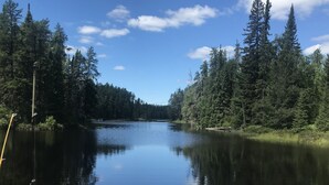 Un lac paisible, entouré d’une forêt dense.