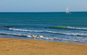 Enjoy a serene beach experience with a wide, sandy beach perfect for relaxation and activities.