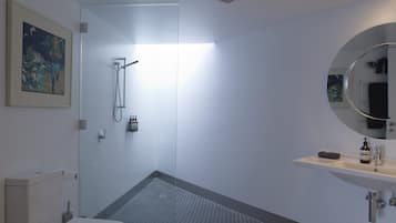 Shower, hair dryer