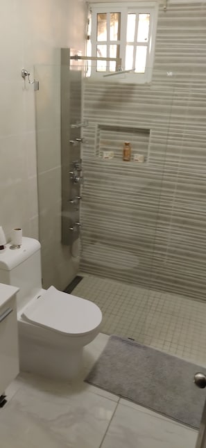 Combined shower/tub, jetted tub