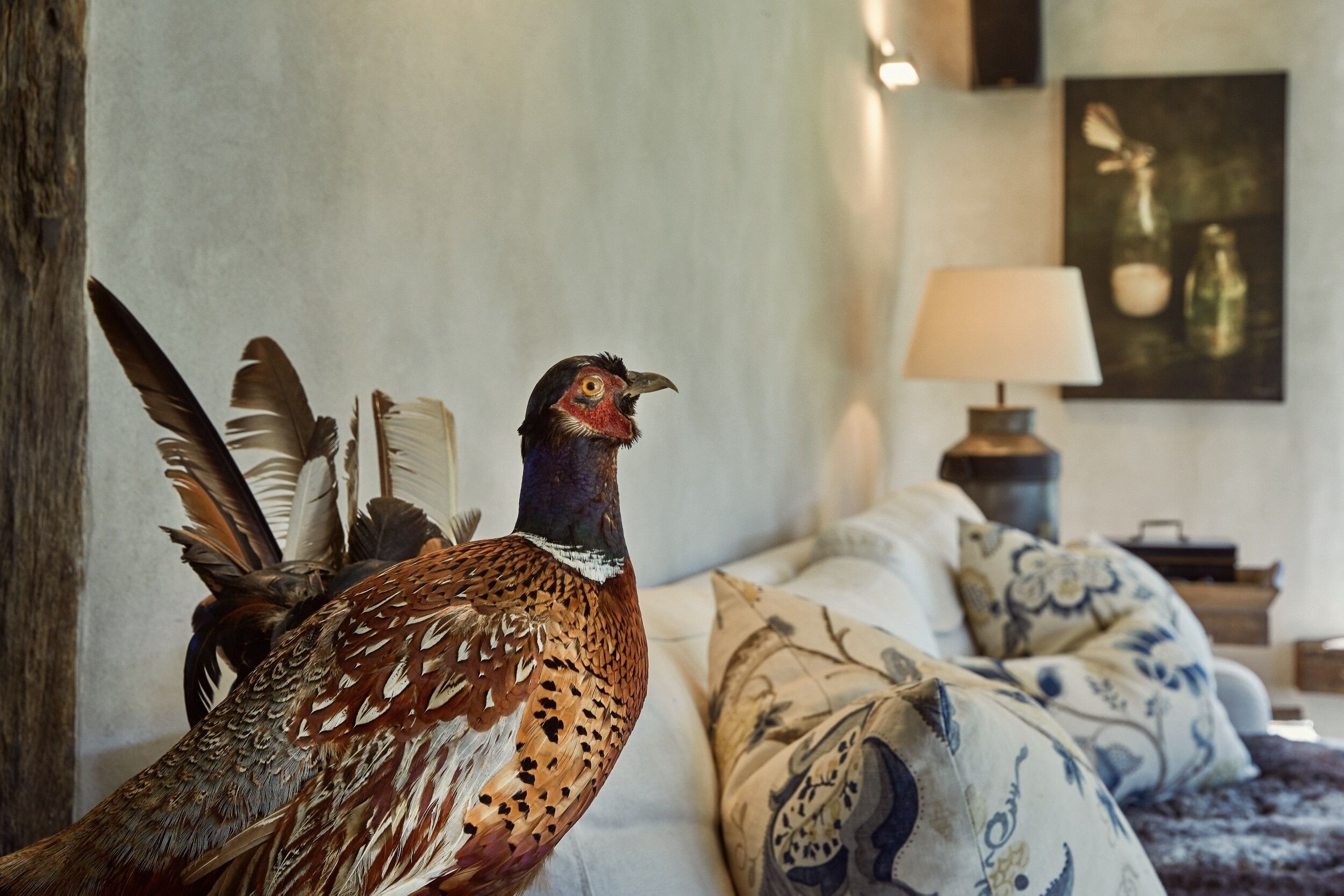 Een vogel, mogelijk een fazant, in een kamer met een bed, kussens, een lamp en een schilderij aan de muur.