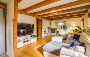 Smart-TV, Kamin