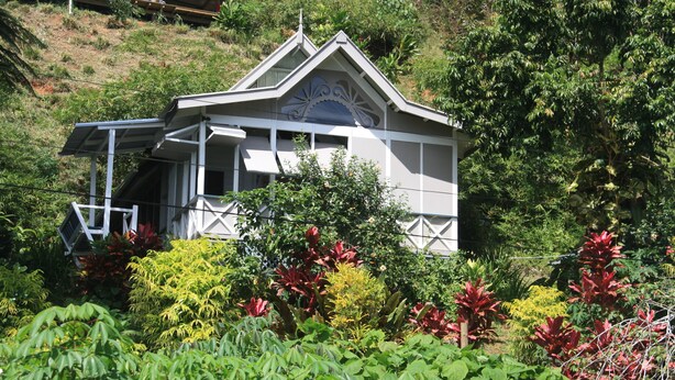 Une maison blanche avec un toit à pignon, entourée d’une végétation luxuriante et de différentes espèces de plantes.