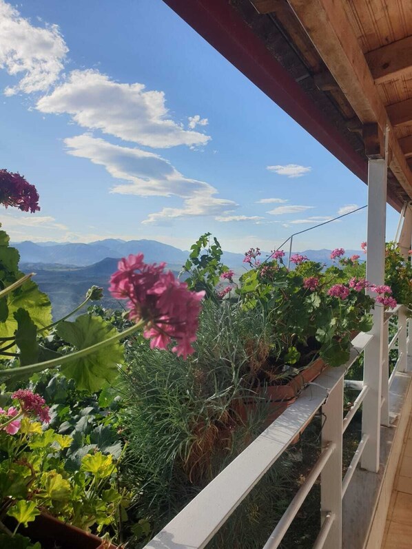 Property grounds - Studio Flat - Sleeps 4 & Private Garden (Nivice, Sarande)