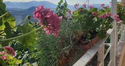 Studio Flat - Sleeps 4 & Private Garden