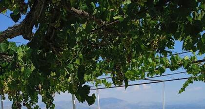 Studio Flat - Sleeps 4 & Private Garden