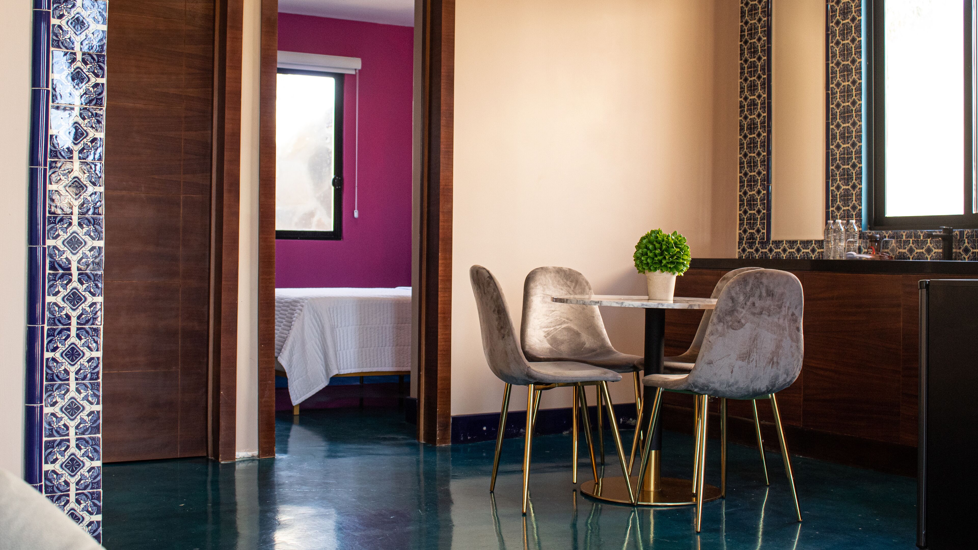 Comedor con mesa, sillas y una planta en maceta.