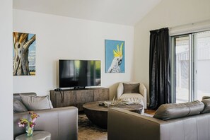 Smart TV, fireplace, computer monitors