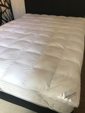 1 chambre, fer et planche à repasser, Wi-Fi gratuit, draps fournis