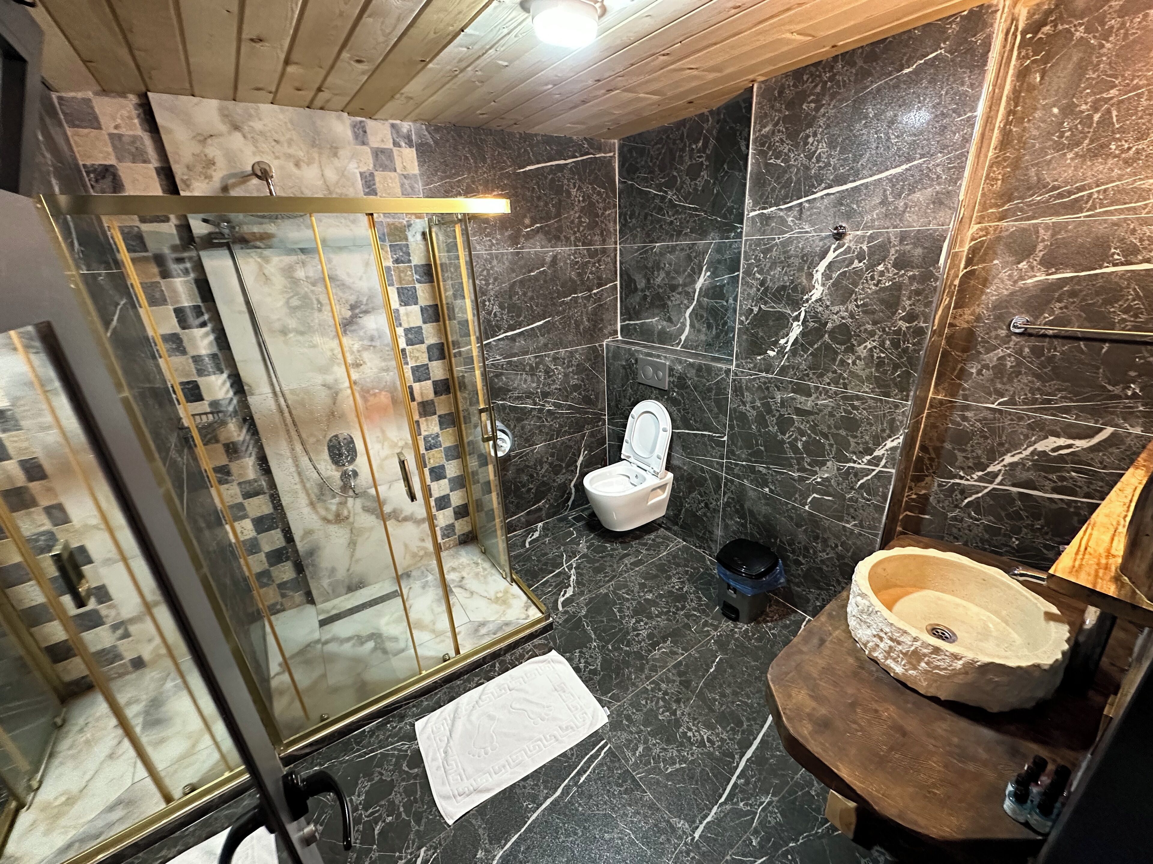 Une salle de bain avec une douche à parois de verre, des toilettes et un lavabo en pierre.