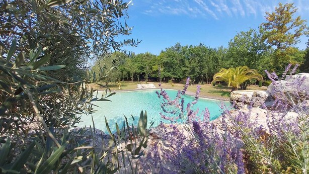 A swimming pool surrounded by natural landscape and trees. - Chalet à Proximité de L'océan Avec Piscine Insolite (Queyrac)
