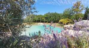 Une piscine entourée d’un paysage naturel et d’arbres.