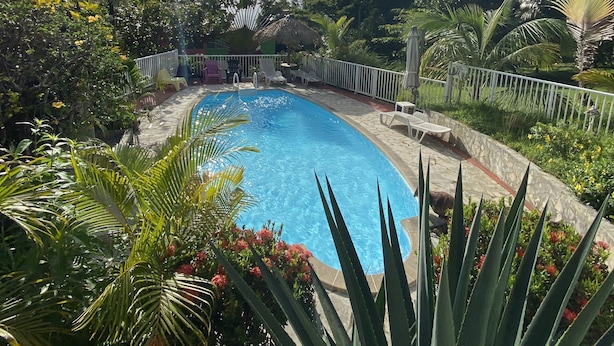 En swimmingpool omgiven av frodig grönska och ett vitt staket.