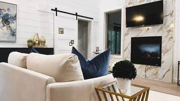 TV, fireplace, video games, books