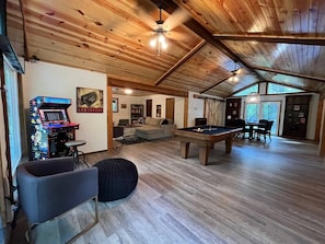 TV, fireplace, video games, books