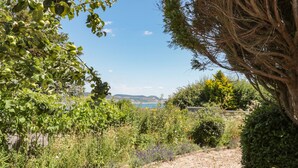 A gravel path leading through a garden with various plants and trees, towards a scenic view of a body of water and distant hills. - Heselwood (Lyme Regis)