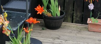 Star2-bed House in Banbridge Near Game of Thrones