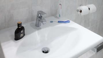 Shower, hydromassage showerhead, free toiletries, hair dryer