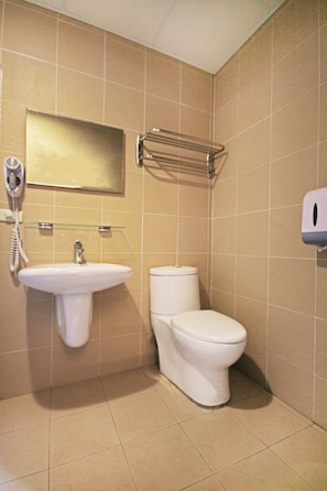Shower, hair dryer
