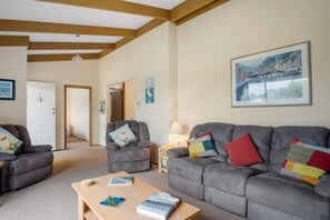 Televisio, DVD-soitin, kirjoja, stereot