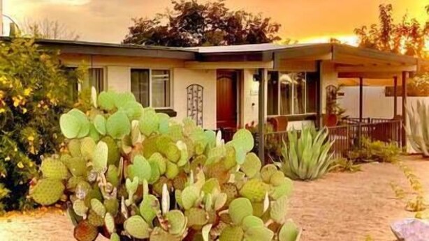 Ein Haus mit Garten, mit großen grünen Kakteen und einer Terrassenfläche.