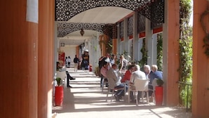 Un espacio al aire libre con techo, con sillas y mesas, rodeado de plantas en macetas y columnas arquitectónicas.