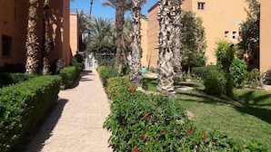 Un sendero bordeado por palmeras y follaje, que lleva a un edificio con fachada color beige.