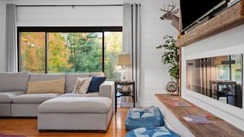Smart TV, fireplace, books, computer monitors