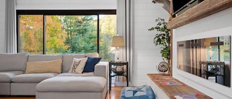 Smart TV, fireplace, books, computer monitors